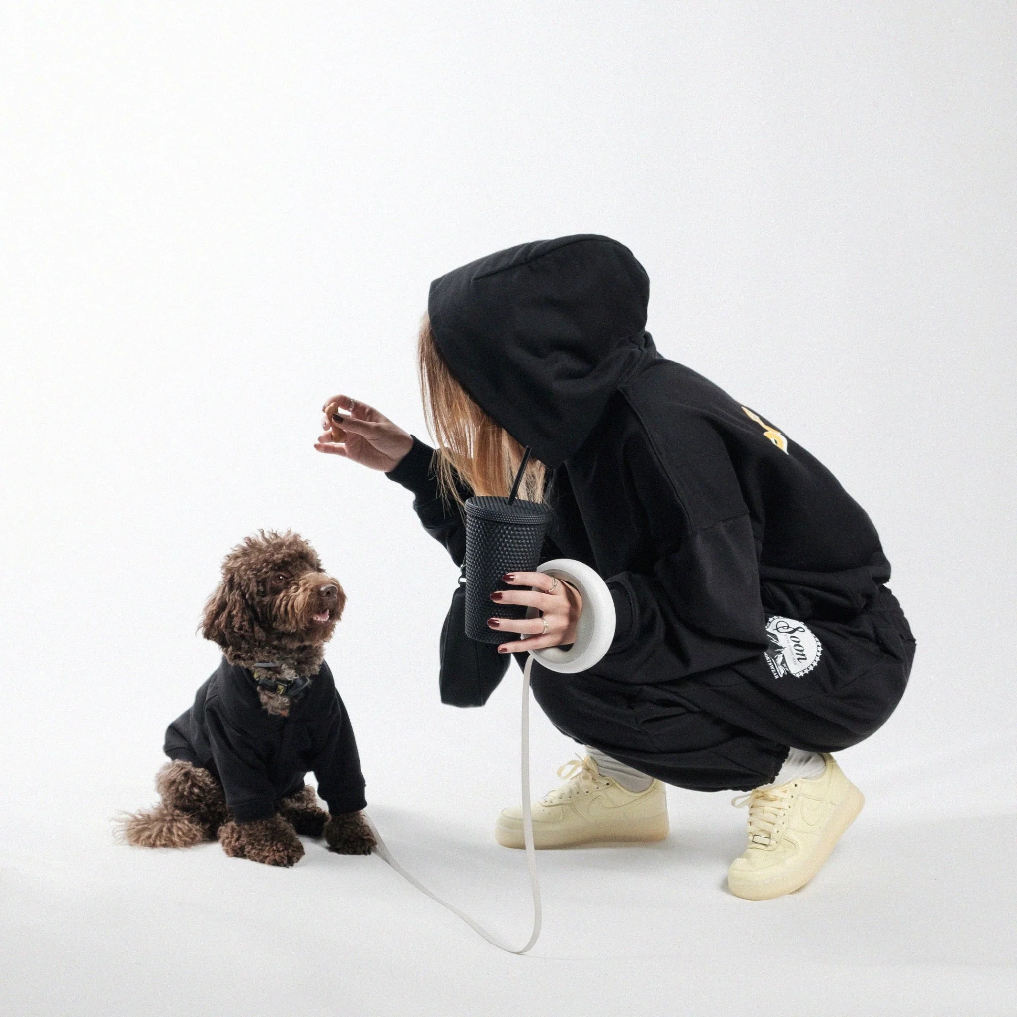 Dog Walker Pet