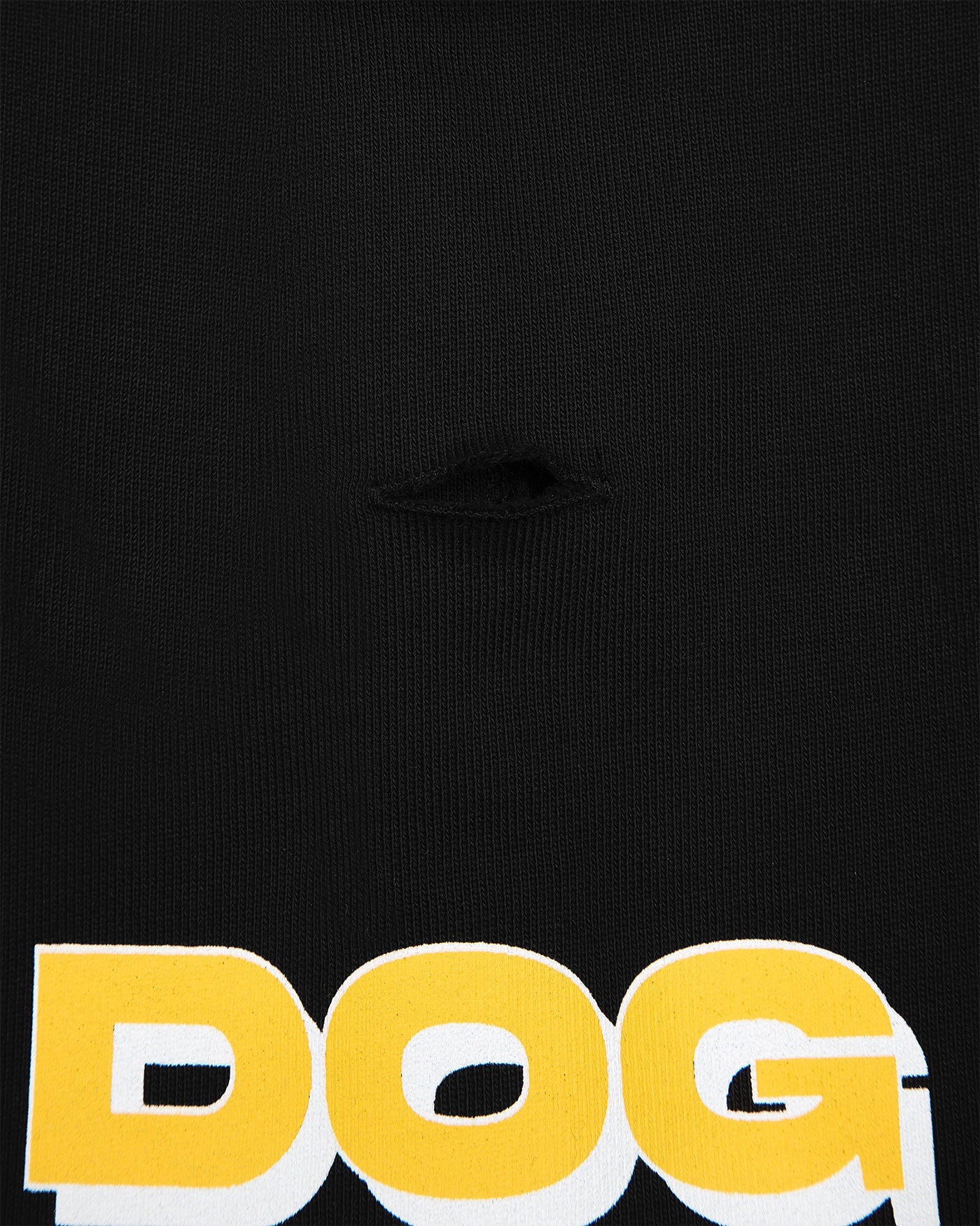 Dog Walker Pet