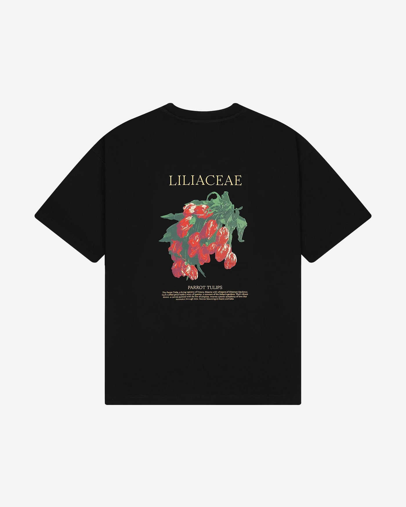 Liliaceae